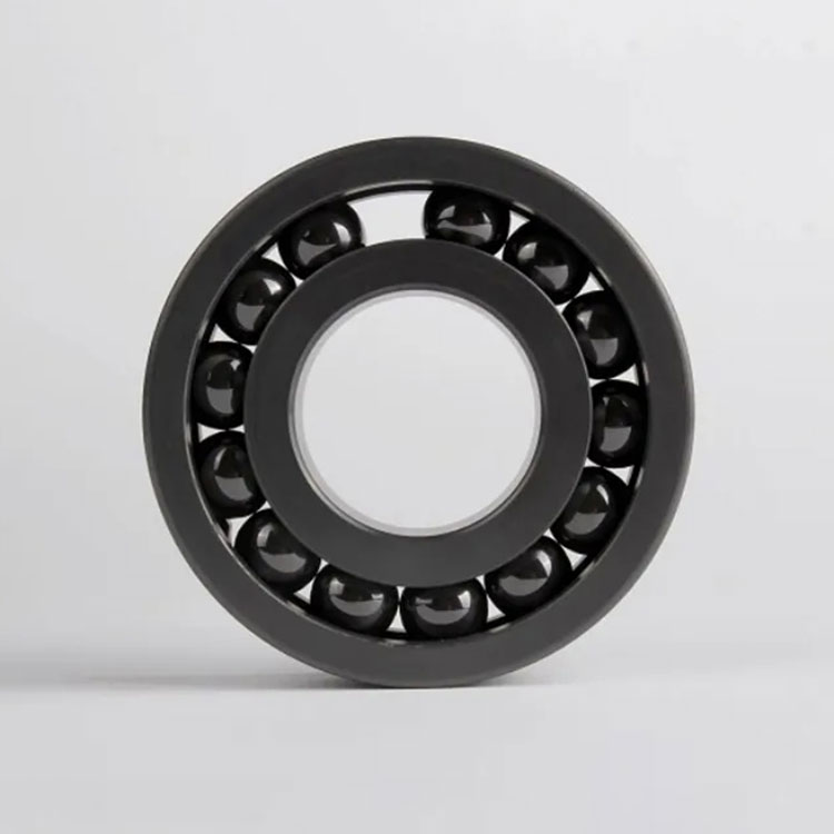 Silicon Carbide Bearing